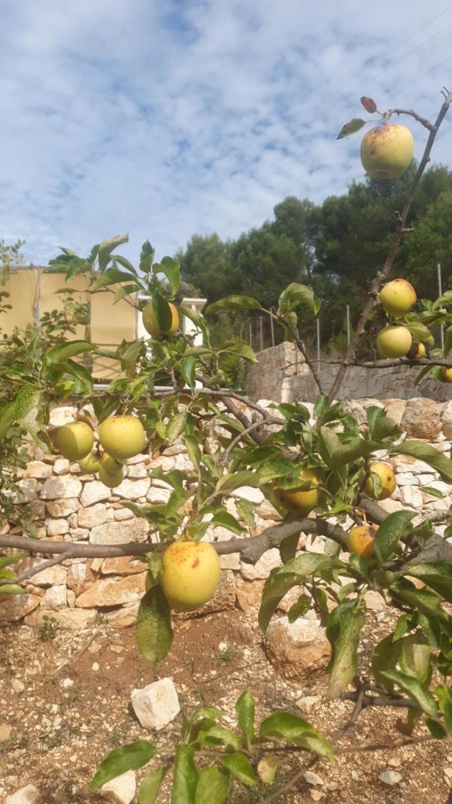 法萨诺Trulli Vittoria别墅 外观 照片
